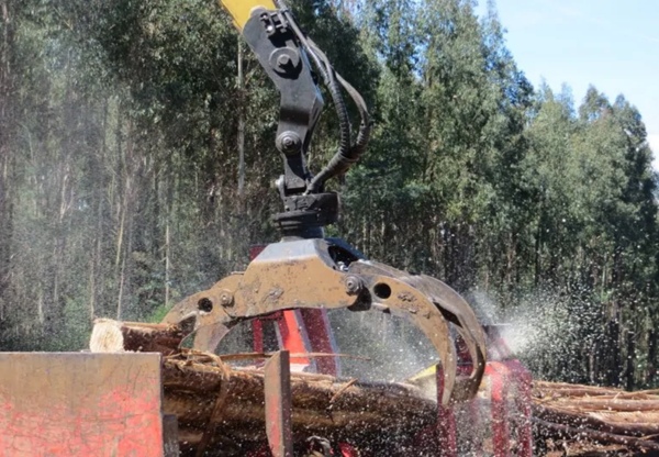 Log and Load