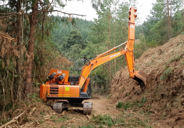 Log and Load